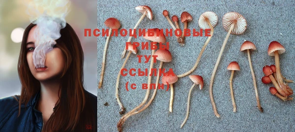 мескалин Баксан