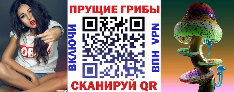 Псилоцибиновые грибы Cubensis  Олонец 